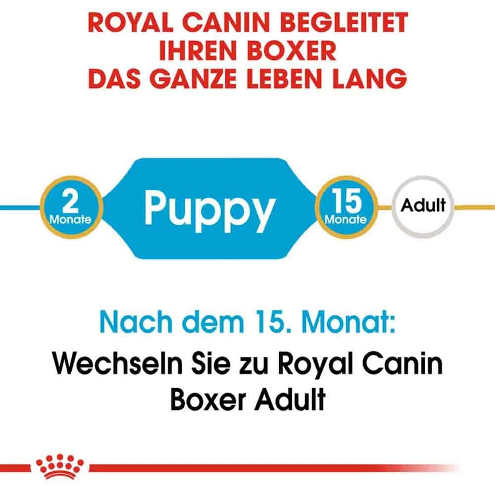 Royal Canin Boxer Puppy Welpenfutter Trocken 5 Royal Canin Boxer Puppy Welpenfutter Trocken – Bild 3