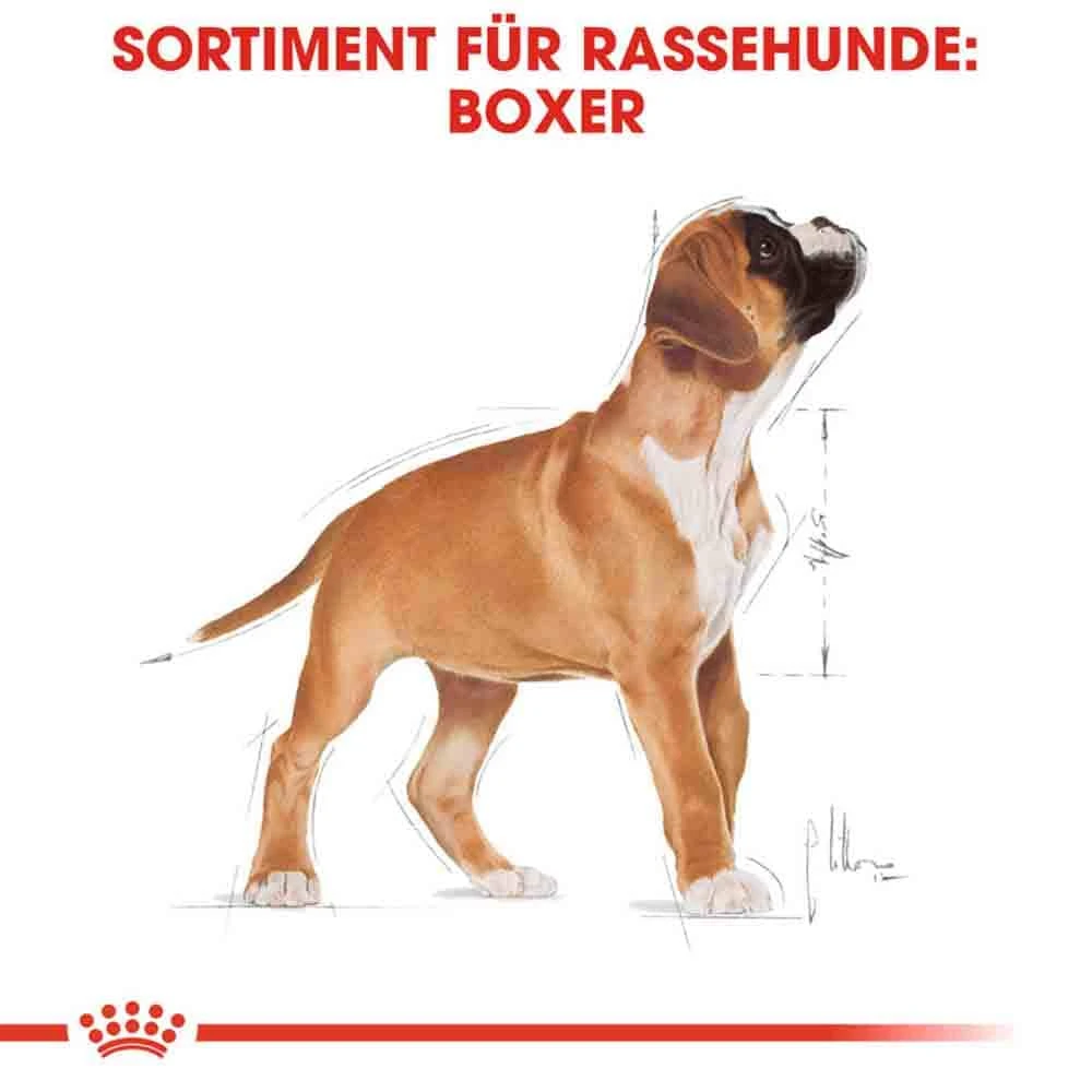 Royal Canin Boxer Puppy Welpenfutter Trocken 8 Royal Canin Boxer Puppy Welpenfutter Trocken – Bild 6