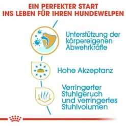 Royal Canin Chihuahua Puppy Welpenfutter Trocken -Haustier Alles Verkaufsgeschäft 0054570 royal canin chihuahua puppy welpenfutter trocken