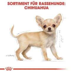 Royal Canin Chihuahua Puppy Welpenfutter Trocken -Haustier Alles Verkaufsgeschäft 0054575 royal canin chihuahua puppy welpenfutter trocken