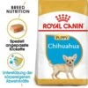 Royal Canin Chihuahua Puppy Welpenfutter Trocken 2 Royal Canin Chihuahua Puppy Welpenfutter Trocken -Haustier Alles Verkaufsgeschäft 0054576 royal canin chihuahua puppy welpenfutter trocken