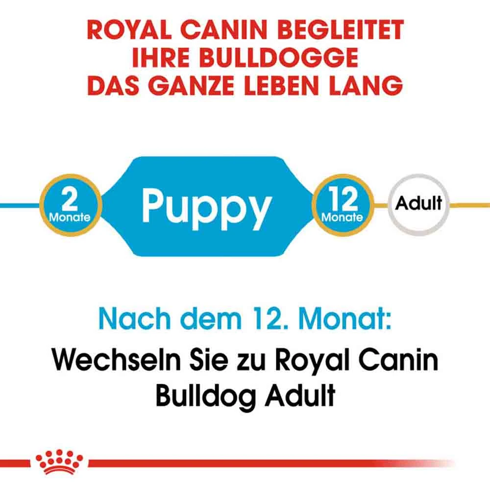 Royal Canin Bulldog Puppy Welpenfutter Trocken 5 Royal Canin Bulldog Puppy Welpenfutter Trocken – Bild 3