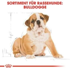 Royal Canin Bulldog Puppy Welpenfutter Trocken 15 Royal Canin Bulldog Puppy Welpenfutter Trocken -Haustier Alles Verkaufsgeschäft 0054578 royal canin bulldog puppy welpenfutter trocken
