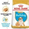 Royal Canin Bulldog Puppy Welpenfutter Trocken -Haustier Alles Verkaufsgeschäft 0054579 royal canin bulldog puppy welpenfutter trocken