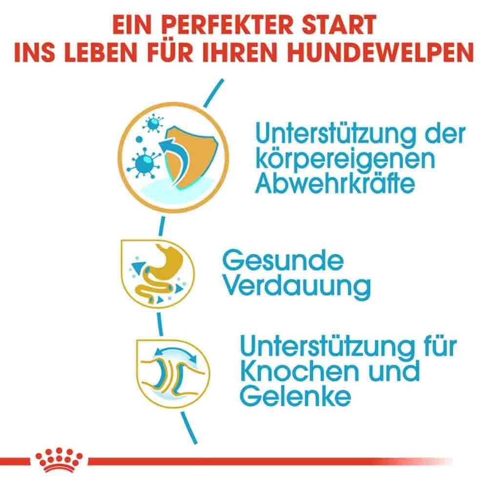 Royal Canin Bulldog Puppy Welpenfutter Trocken 6 Royal Canin Bulldog Puppy Welpenfutter Trocken – Bild 4