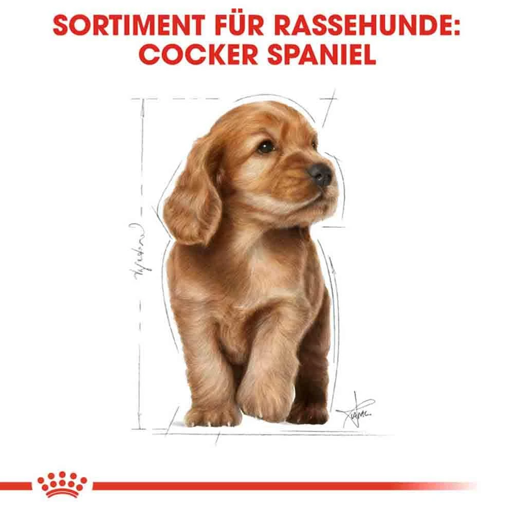 Royal Canin Cocker Puppy Welpenfutter Trocken 8 Royal Canin Cocker Puppy Welpenfutter Trocken – Bild 6