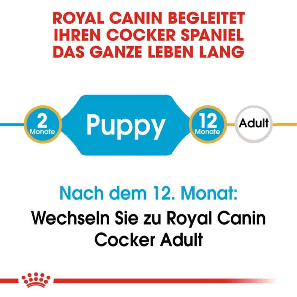 Royal Canin Cocker Puppy Welpenfutter Trocken 5 Royal Canin Cocker Puppy Welpenfutter Trocken – Bild 3