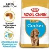 Royal Canin Cocker Puppy Welpenfutter Trocken -Haustier Alles Verkaufsgeschäft 0054587 royal canin cocker puppy welpenfutter trocken