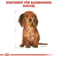 Royal Canin Dachshund Puppy Welpenfutter Trocken -Haustier Alles Verkaufsgeschäft 0054597 royal canin dachshund puppy welpenfutter trocken