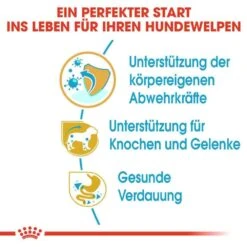 Royal Canin Dachshund Puppy Welpenfutter Trocken -Haustier Alles Verkaufsgeschäft 0054598 royal canin dachshund puppy welpenfutter trocken