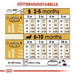 Royal Canin Dachshund Puppy Welpenfutter Trocken -Haustier Alles Verkaufsgeschäft 0054599 royal canin dachshund puppy welpenfutter trocken