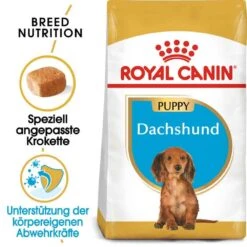 Royal Canin Dachshund Puppy Welpenfutter Trocken