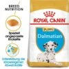 Royal Canin Dalmatian Puppy Welpenfutter -Haustier Alles Verkaufsgeschäft 0054609 royal canin dalmatian puppy welpenfutter