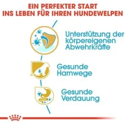 Royal Canin Dalmatian Puppy Welpenfutter 13 Royal Canin Dalmatian Puppy Welpenfutter -Haustier Alles Verkaufsgeschäft 0054611 royal canin dalmatian puppy welpenfutter