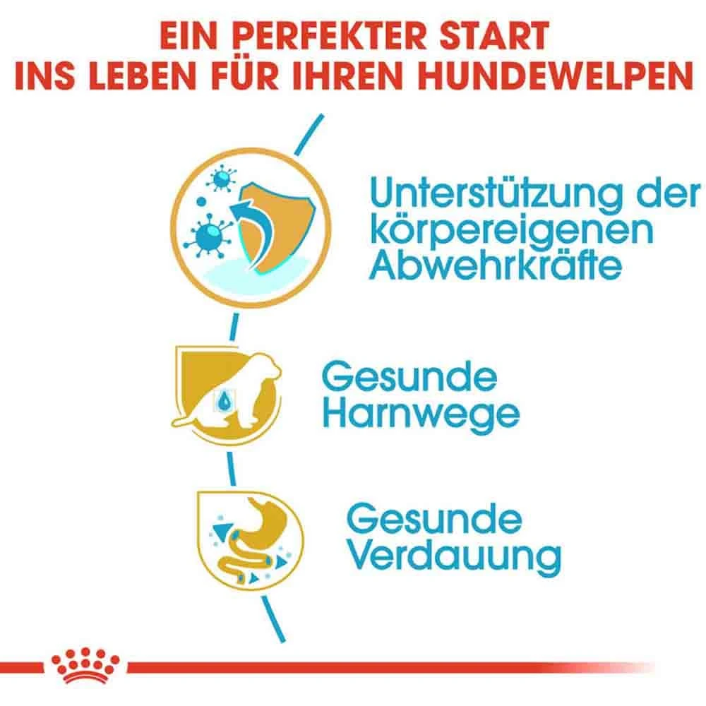 Royal Canin Dalmatian Puppy Welpenfutter 6 Royal Canin Dalmatian Puppy Welpenfutter – Bild 4