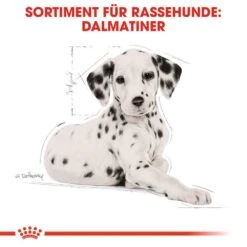Royal Canin Dalmatian Puppy Welpenfutter 15 Royal Canin Dalmatian Puppy Welpenfutter -Haustier Alles Verkaufsgeschäft 0054616 royal canin dalmatian puppy welpenfutter