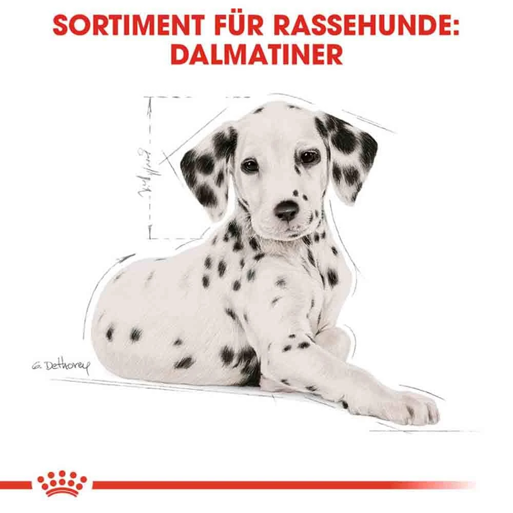 Royal Canin Dalmatian Puppy Welpenfutter 8 Royal Canin Dalmatian Puppy Welpenfutter – Bild 6