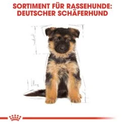 Royal Canin German Shepherd Puppy Welpenfutter Trocken -Haustier Alles Verkaufsgeschäft 0054620 royal canin german shepherd puppy welpenfutter trocken