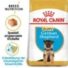 Royal Canin German Shepherd Puppy Welpenfutter Trocken 2 Royal Canin German Shepherd Puppy Welpenfutter Trocken -Haustier Alles Verkaufsgeschäft 0054622 royal canin german shepherd puppy welpenfutter trocken