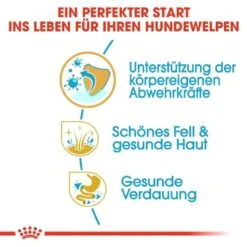 Royal Canin Golden Retriever Puppy Welpenfutter Trocken -Haustier Alles Verkaufsgeschäft 0054627 royal canin golden retriever puppy welpenfutter trocken