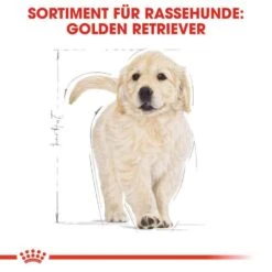 Royal Canin Golden Retriever Puppy Welpenfutter Trocken -Haustier Alles Verkaufsgeschäft 0054629 royal canin golden retriever puppy welpenfutter trocken
