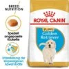 Royal Canin Golden Retriever Puppy Welpenfutter Trocken 1 Royal Canin Golden Retriever Puppy Welpenfutter Trocken -Haustier Alles Verkaufsgeschäft 0054631 royal canin golden retriever puppy welpenfutter trocken