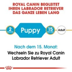Royal Canin Labrador Retriever Puppy Welpenfutter Trocken -Haustier Alles Verkaufsgeschäft 0054641 royal canin labrador retriever puppy welpenfutter trocken