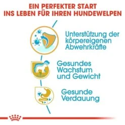 Royal Canin Labrador Retriever Puppy Welpenfutter Trocken -Haustier Alles Verkaufsgeschäft 0054643 royal canin labrador retriever puppy welpenfutter trocken