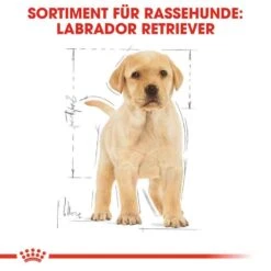 Royal Canin Labrador Retriever Puppy Welpenfutter Trocken -Haustier Alles Verkaufsgeschäft 0054644 royal canin labrador retriever puppy welpenfutter trocken