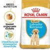 Royal Canin Labrador Retriever Puppy Welpenfutter Trocken 1 Royal Canin Labrador Retriever Puppy Welpenfutter Trocken -Haustier Alles Verkaufsgeschäft 0054646 royal canin labrador retriever puppy welpenfutter trocken