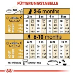 Royal Canin Poodle Puppy Welpenfutter -Haustier Alles Verkaufsgeschäft 0054652 royal canin poodle puppy welpenfutter