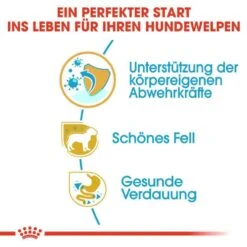 Royal Canin Poodle Puppy Welpenfutter -Haustier Alles Verkaufsgeschäft 0054656 royal canin poodle puppy welpenfutter