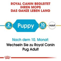 Royal Canin Pug Puppy Welpenfutter Trocken -Haustier Alles Verkaufsgeschäft 0054658 royal canin pug puppy welpenfutter trocken