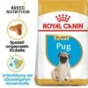 Royal Canin Pug Puppy Welpenfutter Trocken -Haustier Alles Verkaufsgeschäft 0054660 royal canin pug puppy welpenfutter trocken