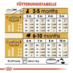 Royal Canin Pug Puppy Welpenfutter Trocken -Haustier Alles Verkaufsgeschäft 0054661 royal canin pug puppy welpenfutter trocken