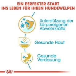 Royal Canin Pug Puppy Welpenfutter Trocken -Haustier Alles Verkaufsgeschäft 0054663 royal canin pug puppy welpenfutter trocken