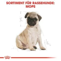 Royal Canin Pug Puppy Welpenfutter Trocken -Haustier Alles Verkaufsgeschäft 0054664 royal canin pug puppy welpenfutter trocken