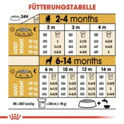 Royal Canin Rottweiler Puppy Hunde -Haustier Alles Verkaufsgeschäft 0054672 royal canin rottweiler puppy hunde