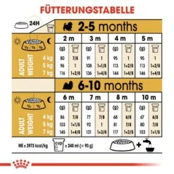 Royal Canin Shih Tzu Puppy Welpenfutter Trocken -Haustier Alles Verkaufsgeschäft 0054673 royal canin shih tzu puppy welpenfutter trocken