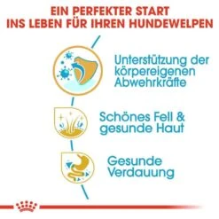 Royal Canin Shih Tzu Puppy Welpenfutter Trocken -Haustier Alles Verkaufsgeschäft 0054680 royal canin shih tzu puppy welpenfutter trocken