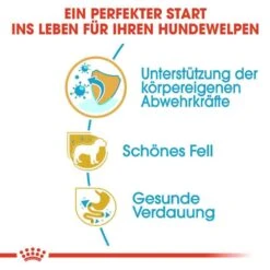 Royal Canin Yorkshire Terrier Puppy Welpenfutter Trocken -Haustier Alles Verkaufsgeschäft 0054684 royal canin yorkshire terrier puppy welpenfutter trocken