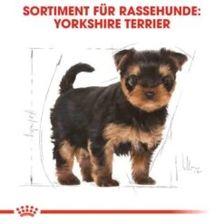 Royal Canin Yorkshire Terrier Puppy Welpenfutter Trocken -Haustier Alles Verkaufsgeschäft 0054685 royal canin yorkshire terrier puppy welpenfutter trocken