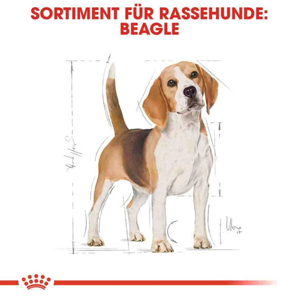 Royal Canin Beagle Adult Hundefutter Trocken 5 Royal Canin Beagle Adult Hundefutter Trocken – Bild 3