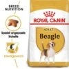 Royal Canin Beagle Adult Hundefutter Trocken 2 Royal Canin Beagle Adult Hundefutter Trocken -Haustier Alles Verkaufsgeschäft 0054691 royal canin beagle adult hundefutter trocken