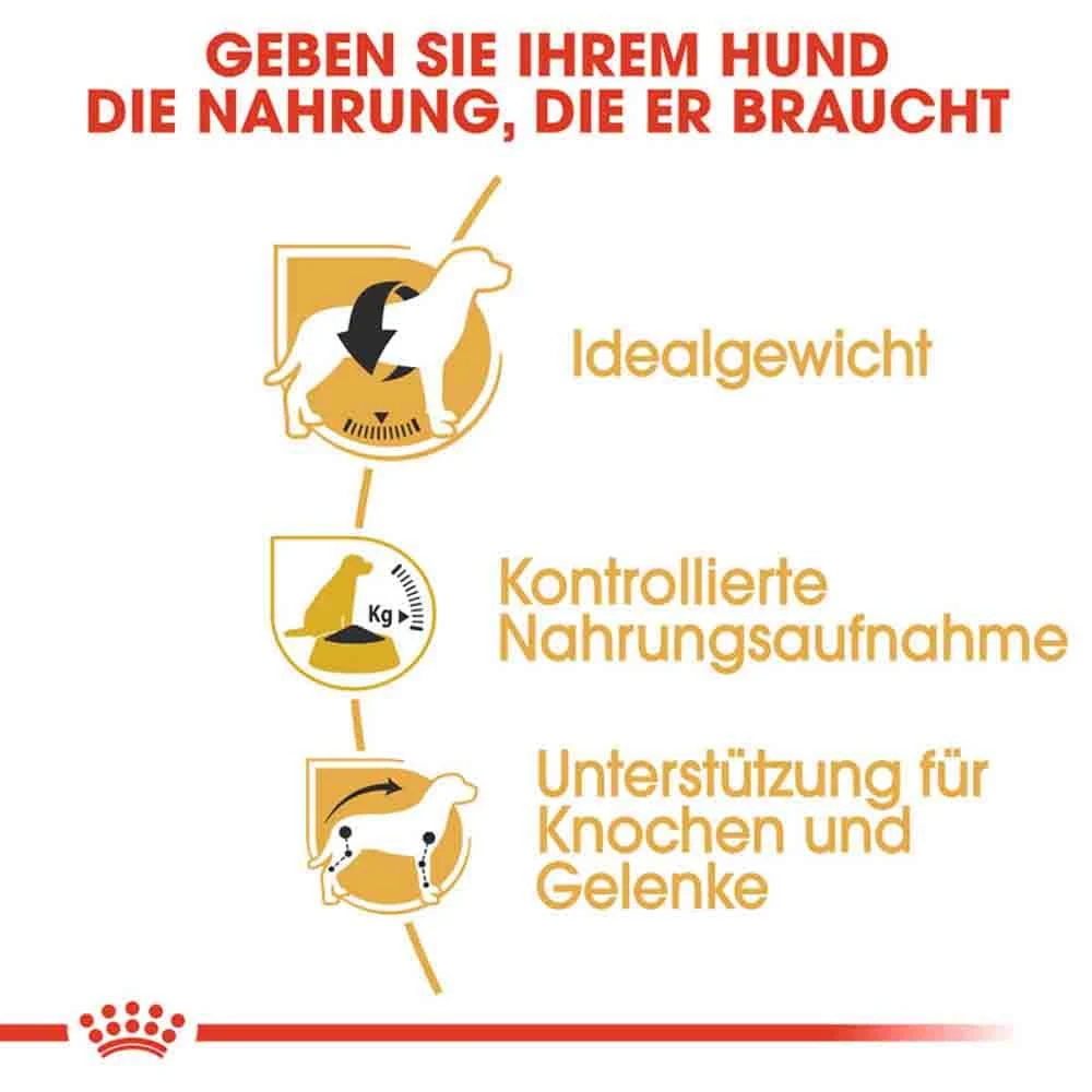 Royal Canin Beagle Adult Hundefutter Trocken 6 Royal Canin Beagle Adult Hundefutter Trocken – Bild 4