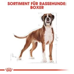 Royal Canin Boxer Adult Hundefutter Trocken -Haustier Alles Verkaufsgeschäft 0054701 royal canin boxer adult hundefutter trocken
