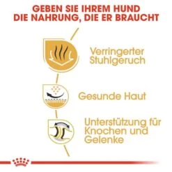 Royal Canin Bulldog Adult Hundefutter Trocken -Haustier Alles Verkaufsgeschäft 0054706 royal canin bulldog adult hundefutter trocken