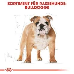 Royal Canin Bulldog Adult Hundefutter Trocken -Haustier Alles Verkaufsgeschäft 0054709 royal canin bulldog adult hundefutter trocken