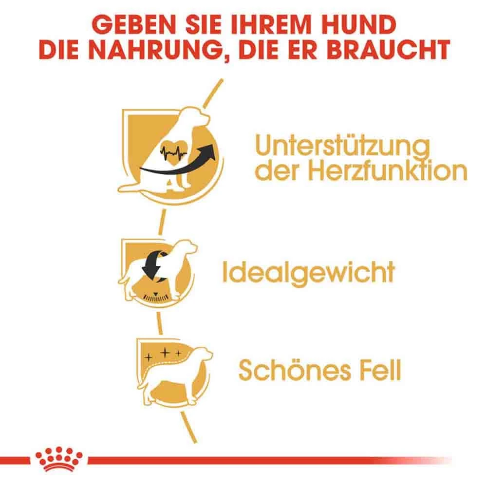 Royal Canin Cavalier King Charles Adult Hundefutter Trocken 6 Royal Canin Cavalier King Charles Adult Hundefutter Trocken – Bild 4