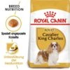 Royal Canin Cavalier King Charles Adult Hundefutter Trocken -Haustier Alles Verkaufsgeschäft 0054716 royal canin cavalier king charles adult hundefutter trocken